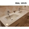 Plan double vasque en verre sur mesure